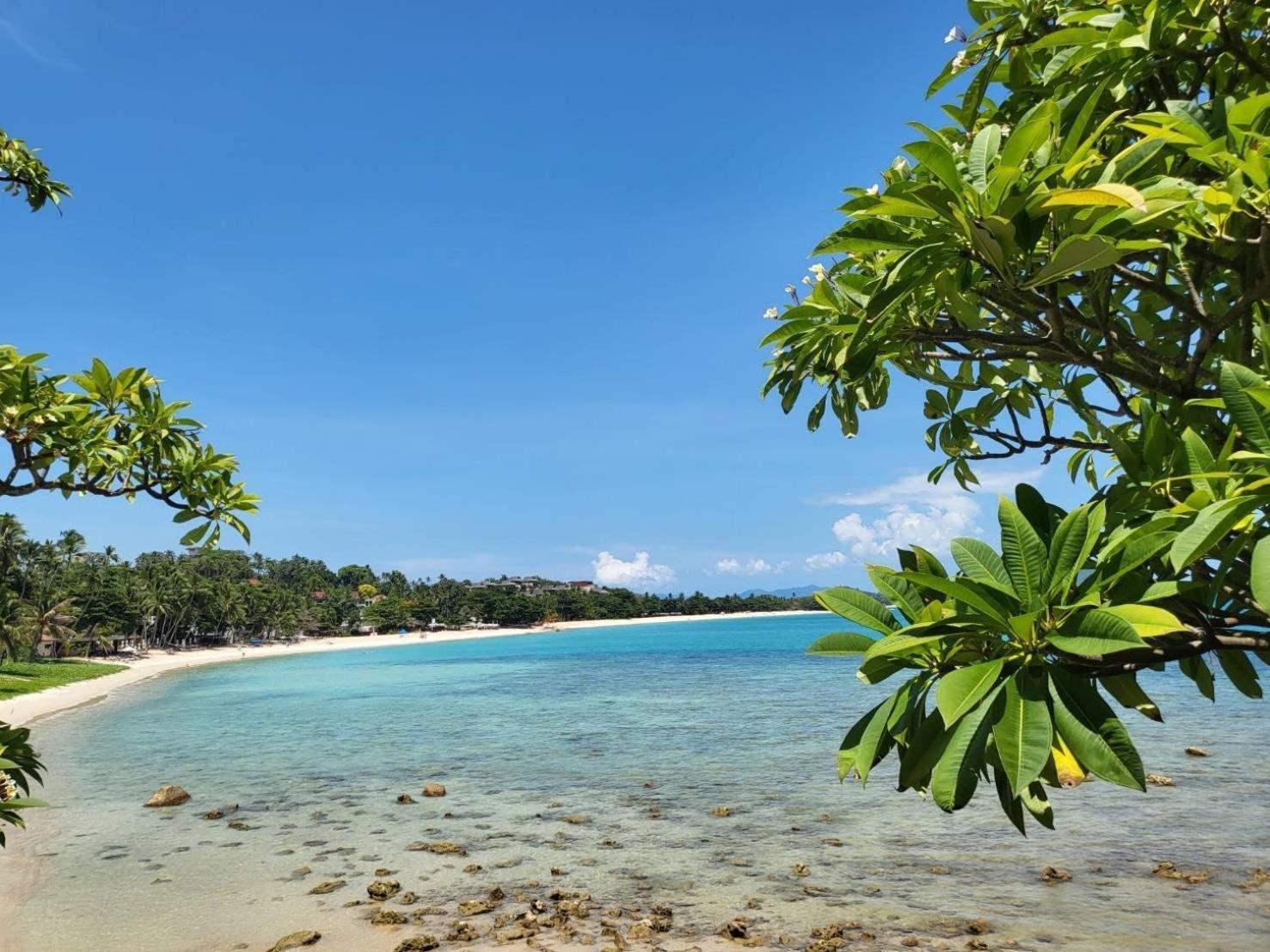 ซี ฟรอนท์ พูล วิลลา บาย เดอะสราญ Hotel หาดเฉวง ภายนอก รูปภาพ